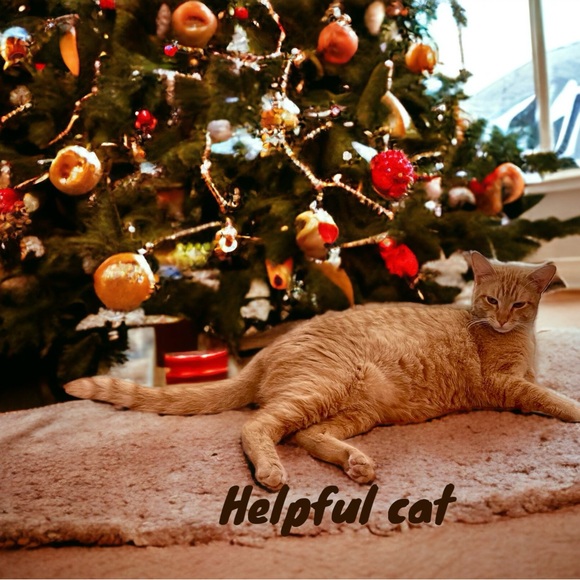 Victorian Velveteen Stuffed Rabbits ( Boy ) Tuxedo Top Hat (Girl) Dress 12 " NWT - Picture 12 of 12